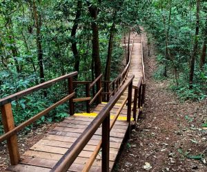 Trilha e Mirante (7)